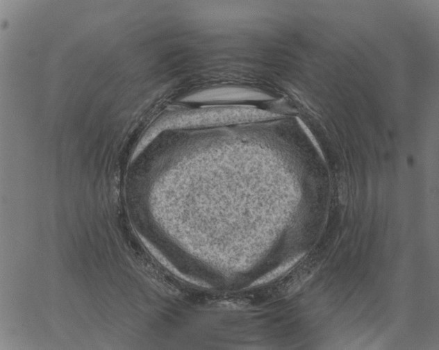 X0000066100737200603312024