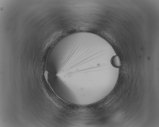 X0000066100738200603312024