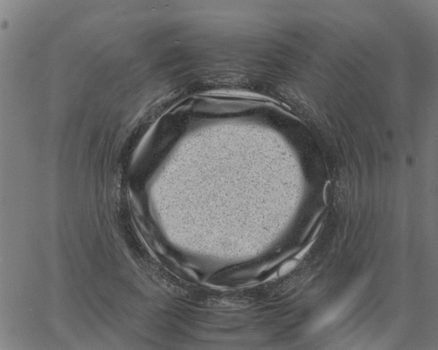 X0000066100739200603312024