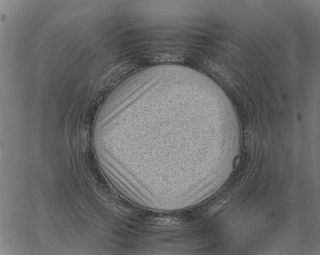 X0000066100741200603312025