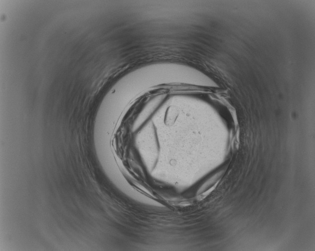 X0000066100743200603312025