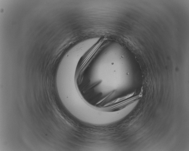 X0000066100744200603312025