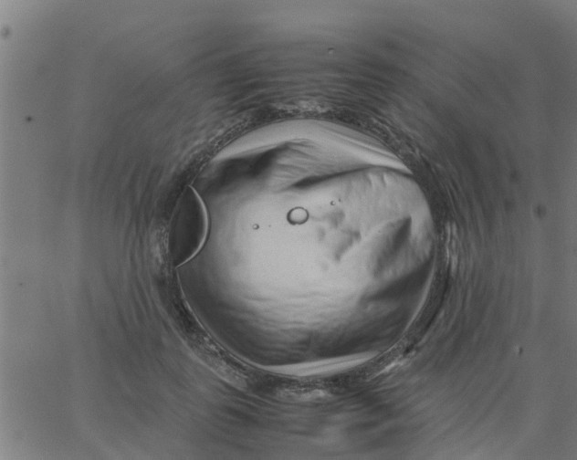 X0000066100747200603312025