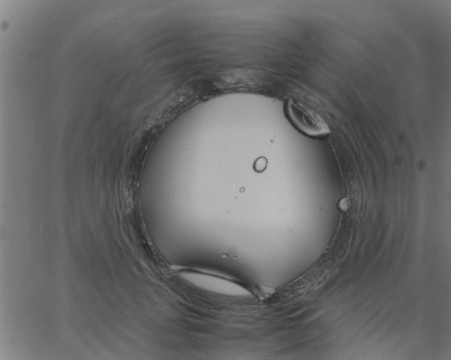 X0000066100751200603312025