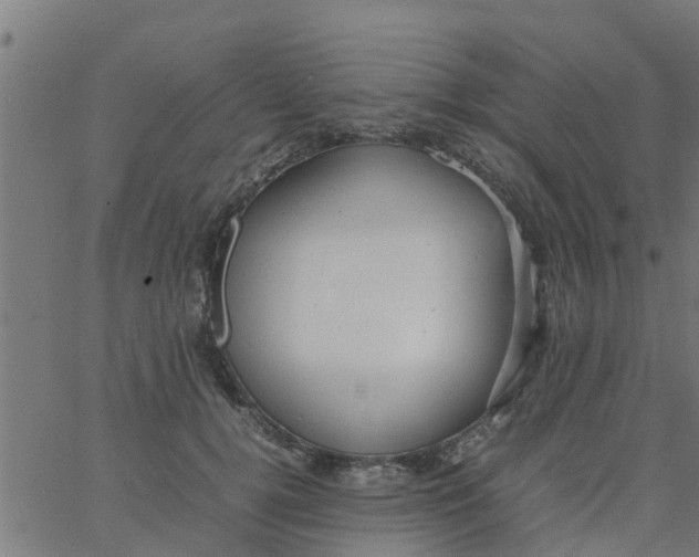 X0000066100752200603312025