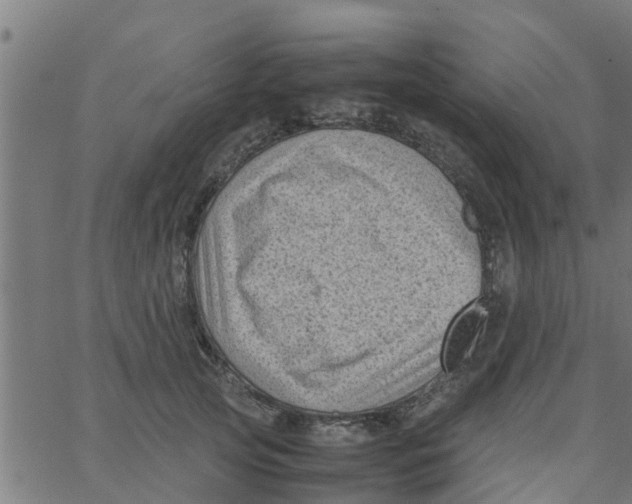 X0000066100753200603312025