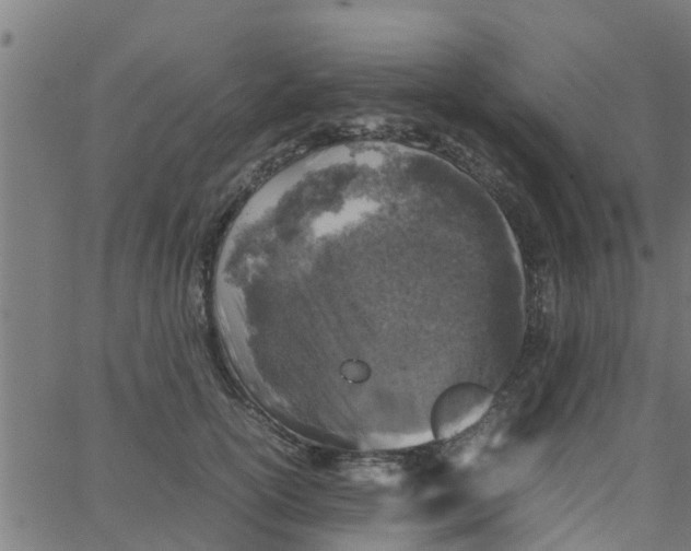 X0000066100754200603312025