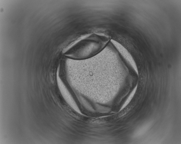 X0000066100755200603312025