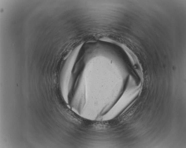 X0000066100756200603312025