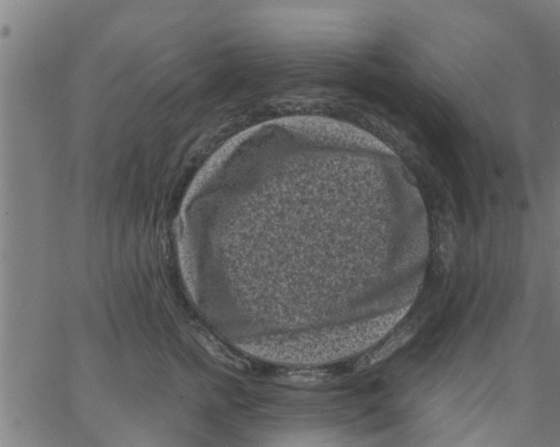 X0000066100758200603312025