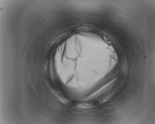 X0000066100759200603312025