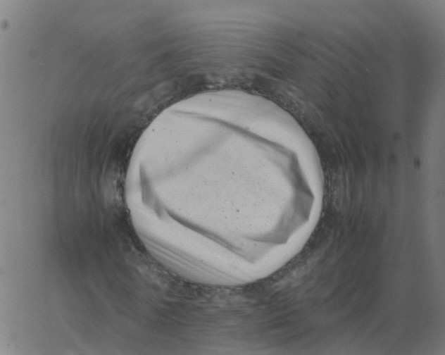 X0000066100770200603312024