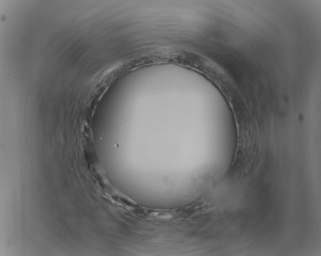 X0000066100773200603312024