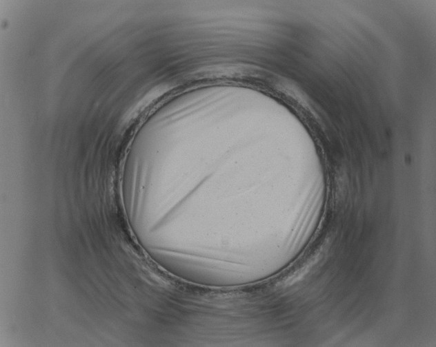 X0000066100778200603312024