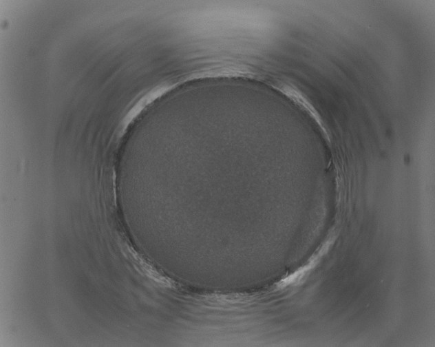 X0000066100781200603312024