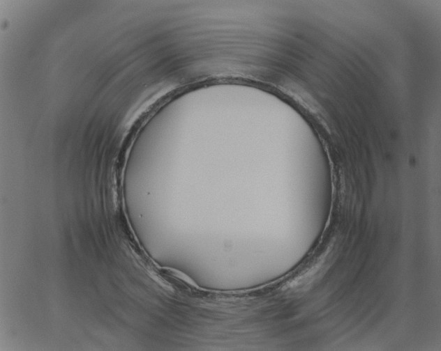 X0000066100782200603312024