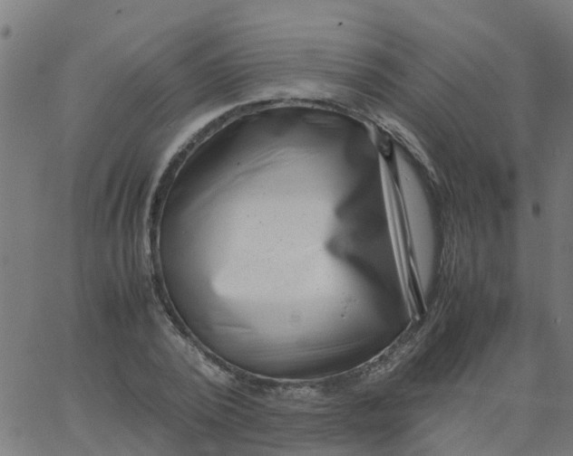 X0000066100784200603312024