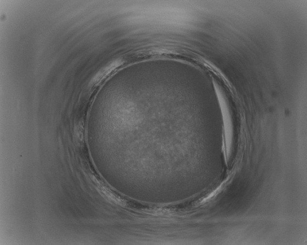 X0000066100785200603312024