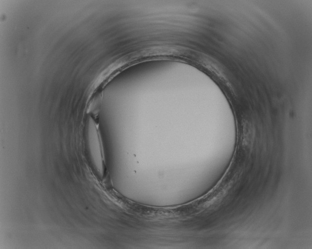 X0000066100786200603312024