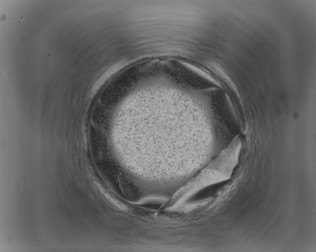 X0000066100789200603312024