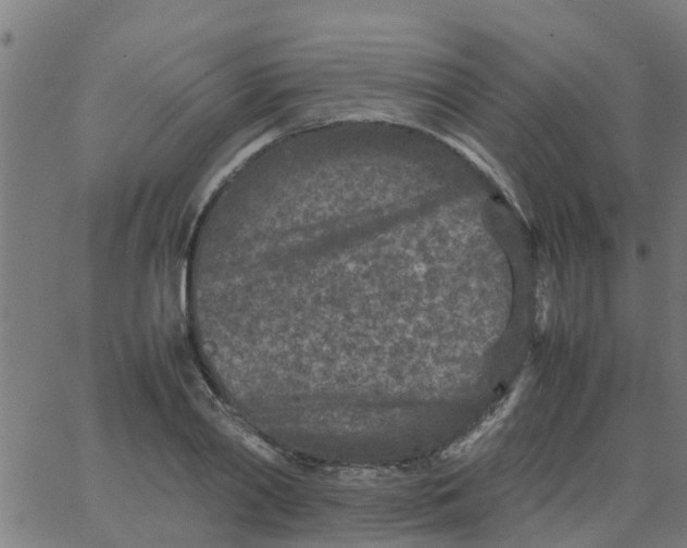 X0000066100790200603312024