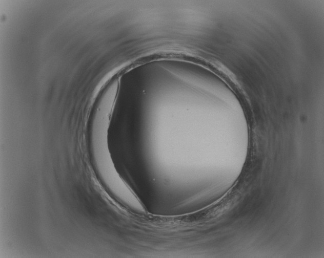 X0000066100791200603312024