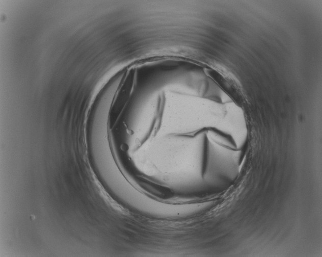 X0000066100792200603312024