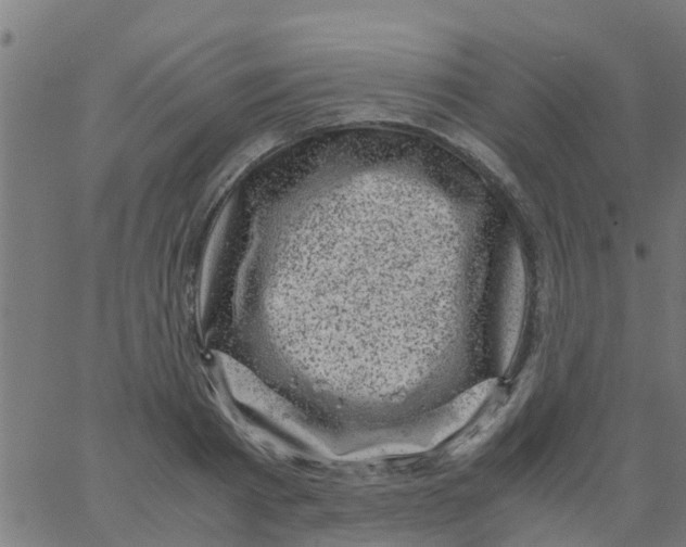 X0000066100793200603312024