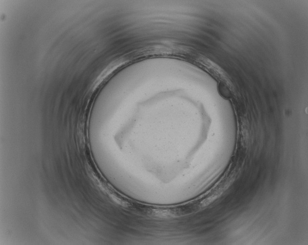 X0000066100794200603312024