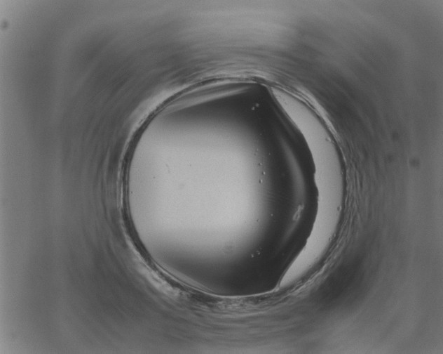 X0000066100795200603312024