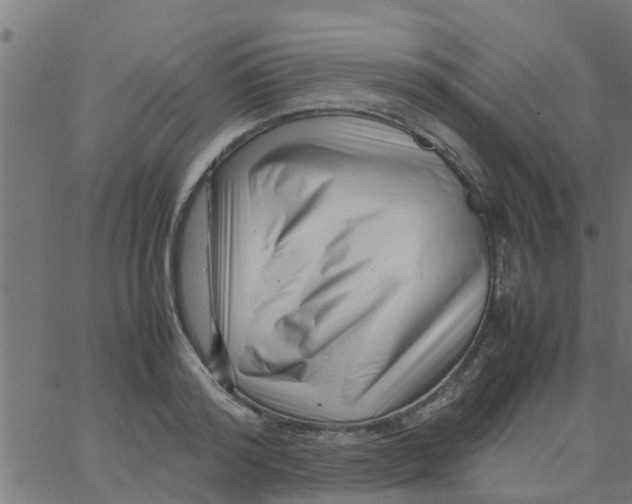 X0000066100796200603312024