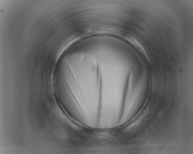 X0000066100798200603312024