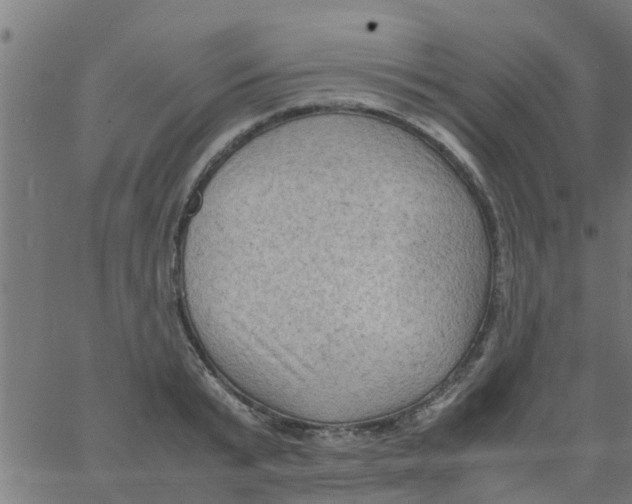 X0000066100799200603312024