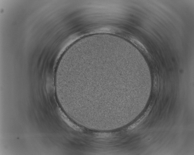 X0000066100800200603312024