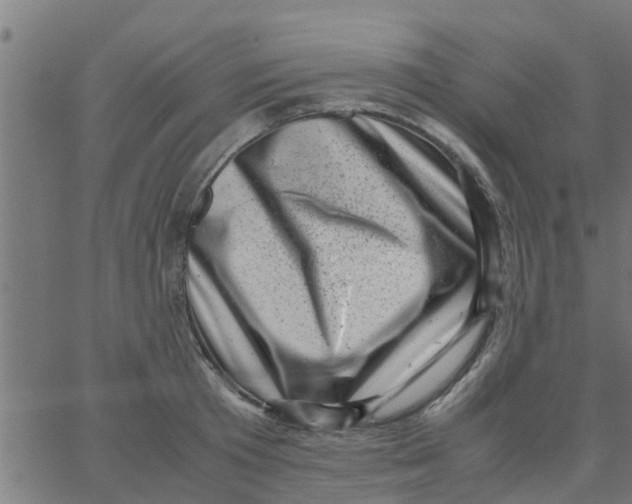 X0000066100801200603312024