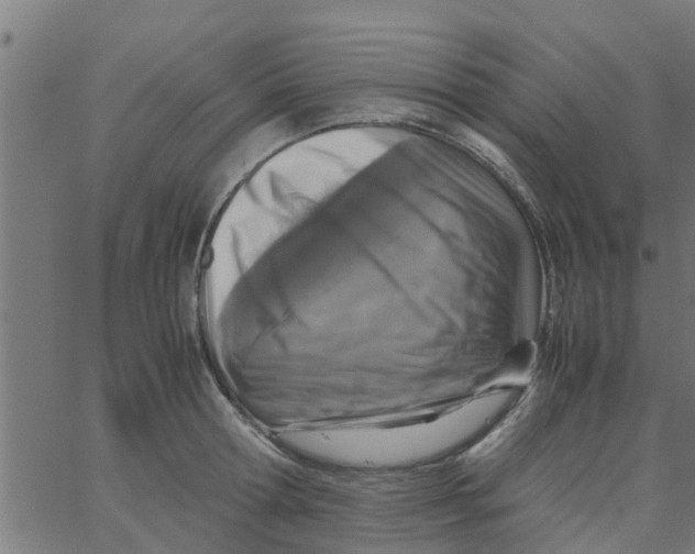 X0000066100802200603312024