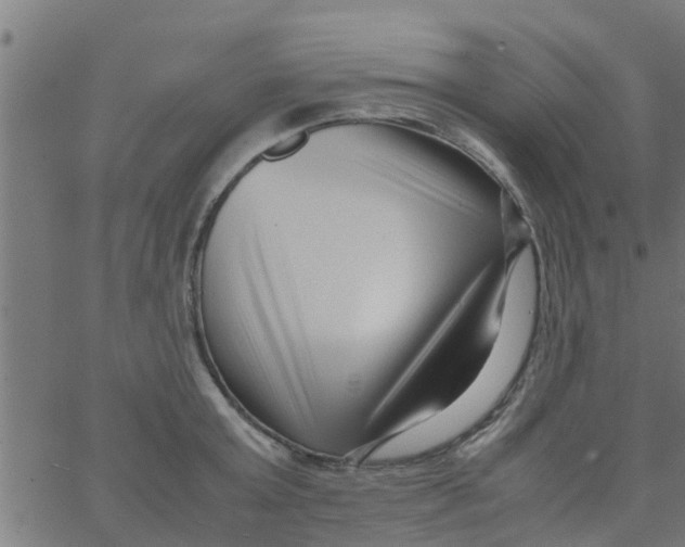 X0000066100803200603312024