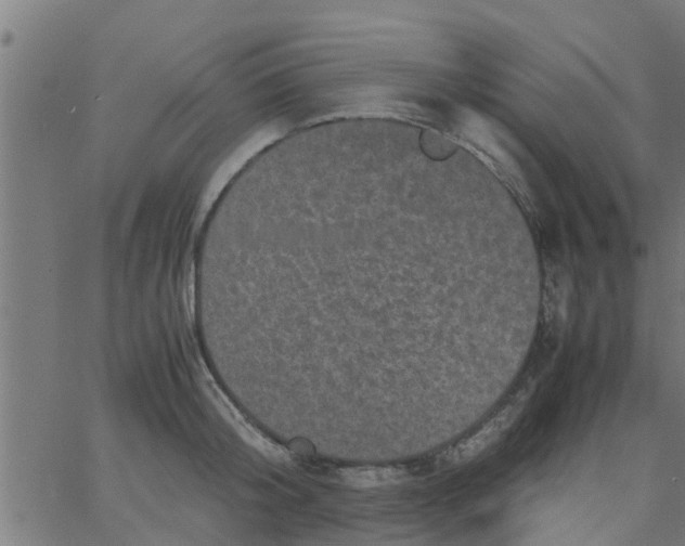 X0000066100804200603312024