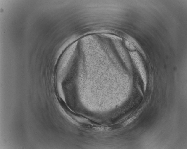 X0000066100805200603312024