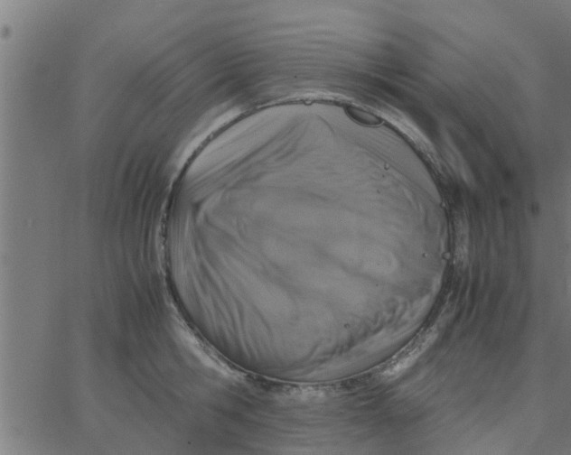 X0000066100806200603312024