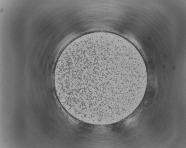 X0000066100807200603312024