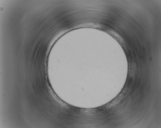 X0000066100808200603312024