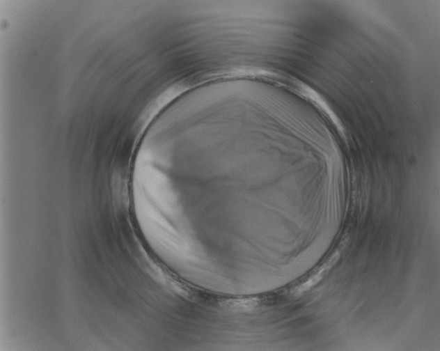 X0000066100810200603312024