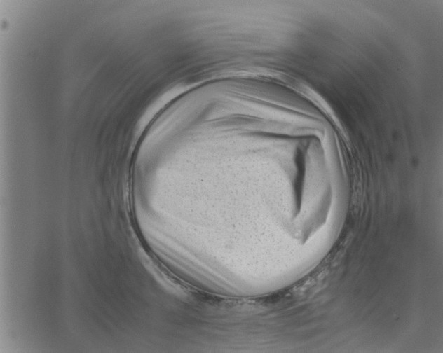 X0000066100811200603312024