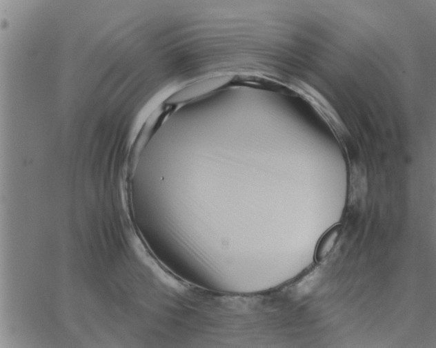 X0000066100812200603312023