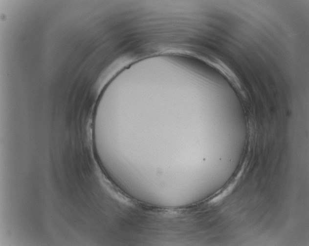 X0000066100814200603312023