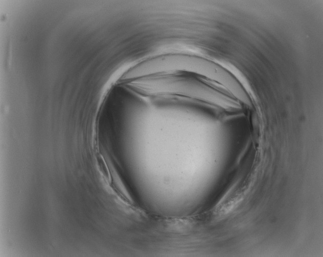 X0000066100815200603312023