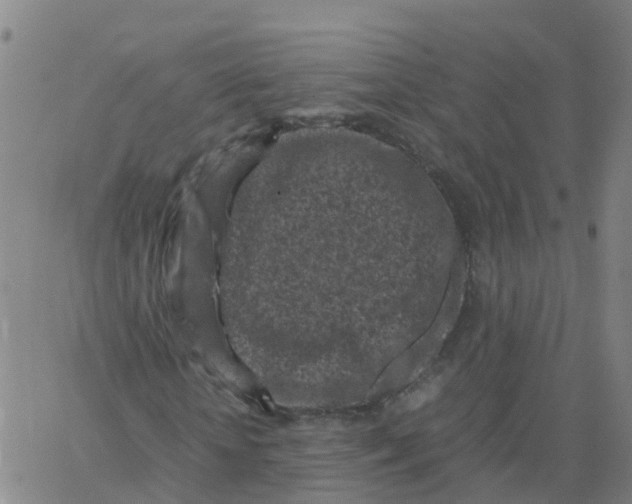 X0000066100818200603312023