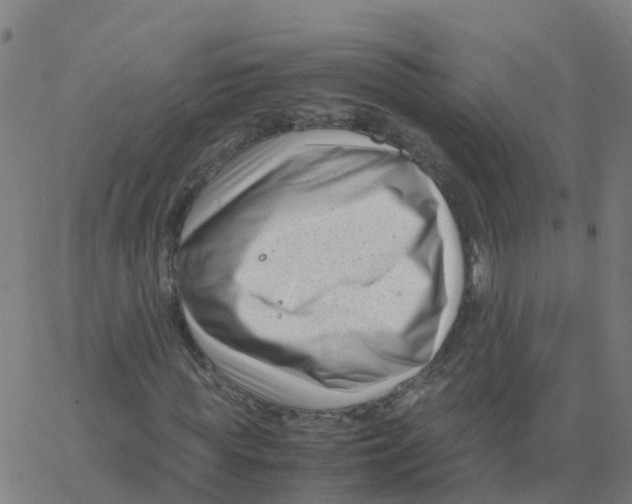 X0000066100819200603312023