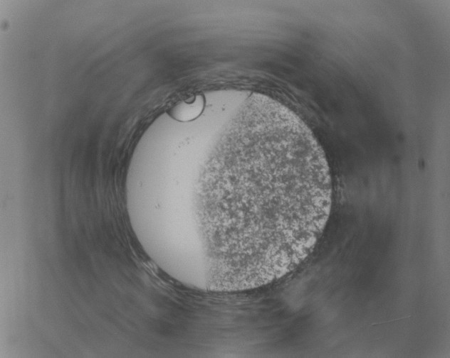 X0000066100820200603312023